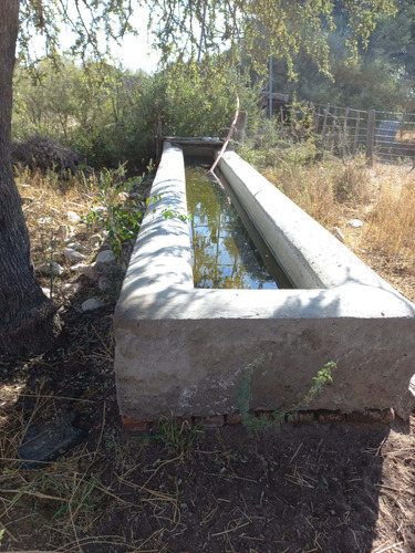 Imagen 4 de 9 de Venta Campo Ganadero Para Cría De 3926 Ha