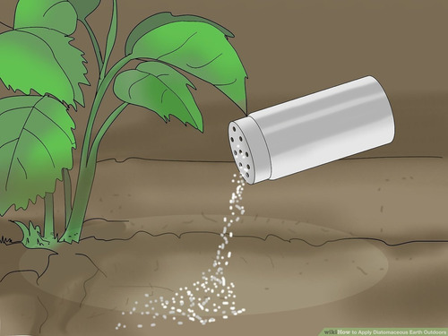 Imagen 2 de 10 de Tierra De Diatomeas Pura Para Cultivo Paquete 1 Kilo