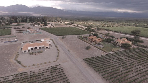 Terreno - Cafayate
