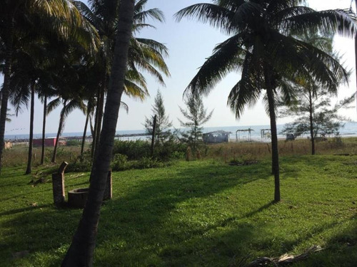 Imagen 3 de 12 de Terreno En Venta El Zapote