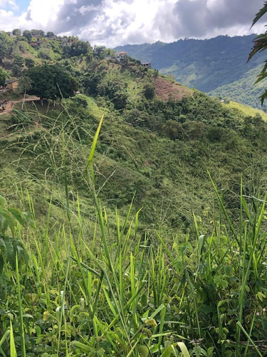 Venta De Lote De Terreno En Sabaneta Del Hatillo, Mcpio El Hatillo, Caracas. Mr