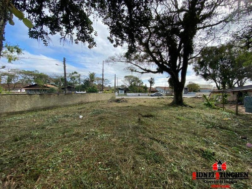 Imagem 5 de 8 de Excelente Terreno Em Rua Pavimentada, Em Bal. Barra Do Sul - Sc. - 308