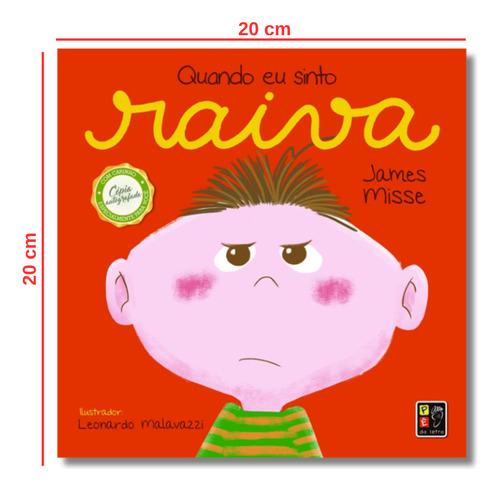 Coleção Sentimentos E Emoções: Quando Eu Sinto Raiva - Infantil