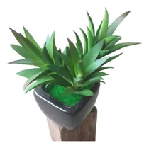 Comprar Cactus Y Suculentas Artificiales En Macetita Plantas