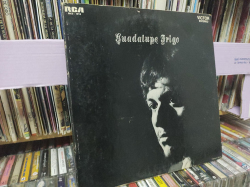 Guadalupe Trigo Mi Ciudad Vinilo,lp,acetato