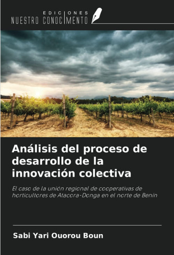 Libro: Análisis Del Proceso De Desarrollo De La Innovación C