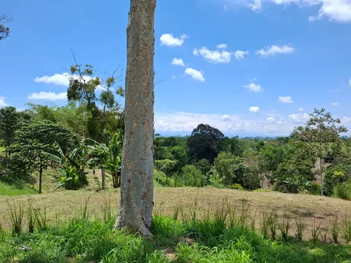 Oportunidad De Inversión! Excelente Ubicación Lote Campestre