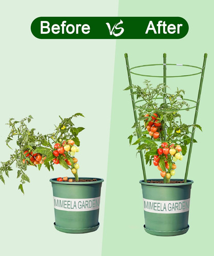 Paquete De 4 Jaulas Para Tomates Con Soporte Para Plantas...