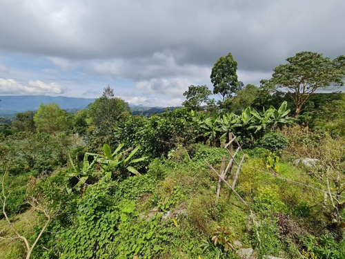 Imagen 12 de 14 de Finca En Cachipay Cundinamarca