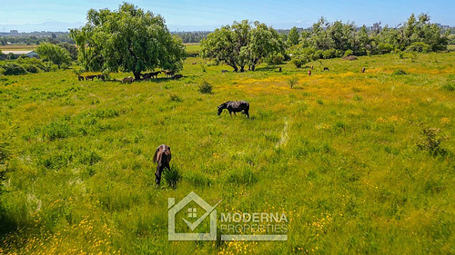Terreno 13 Ha Para Proyecto Inmobiliario
