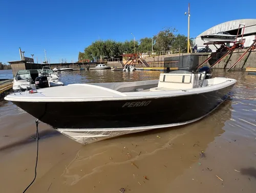 Regnicoli Marea 630 Mercury 115 Hp 4 Tiempos
