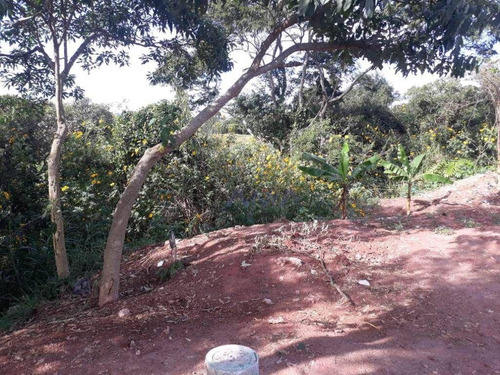 Imagem 10 de 12 de Terreno À Venda, 713 M² Por R$ 110.000,00 - San Fernando Park - Cotia/sp - Te0606