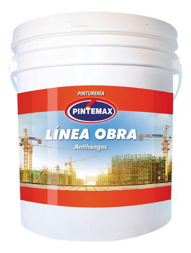 Pintura Para Techos Y Paredes Antihongos 20lt+4lt