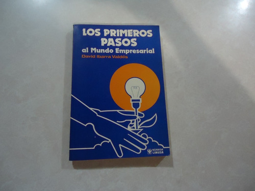 Los Primeros Pasos Al Mundo Empresarial / David Ibarra Valdé