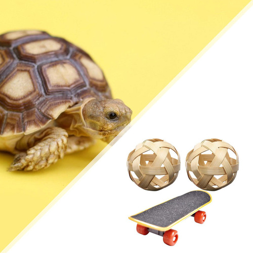 Jk Juguete De Patineta For Reptiles, Mini Patineta Para