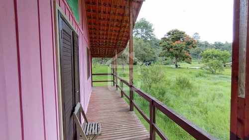 Imagem 21 de 30 de Mini Haras - 213 - 70588973