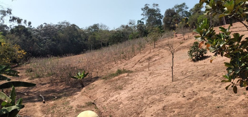 Imagem 5 de 12 de Chácara 1 Alqueire, 75% De Área Para Plantio, Casa Simples, Tres Poços Caipira, Luz, Internet, Campo De Futebol, Dois Tanques Para Peixe - Ch00105 - 69690821