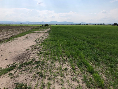Imagen 8 de 8 de Venta Terreno De Inversión En Pachuca