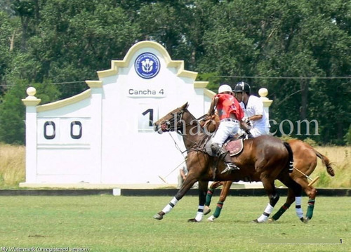 Benquerencia - San Miguel Del Monte Buenos Aires - Chacra 2da Fila Golf - 100