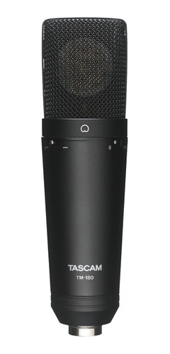 Microfono Condensador Tascam Tm-180 