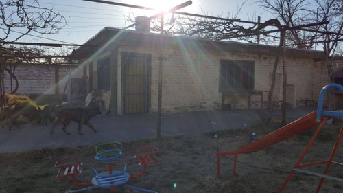 Imagen 10 de 13 de Vendo Propiedad Con Galpones Y Casa Centrico