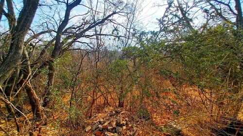 Imagen 8 de 13 de Terreno - Huerta Grande