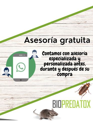 Pybuthrin 33 Bidón 20 Lts Insecticida Piretrinas Naturales M