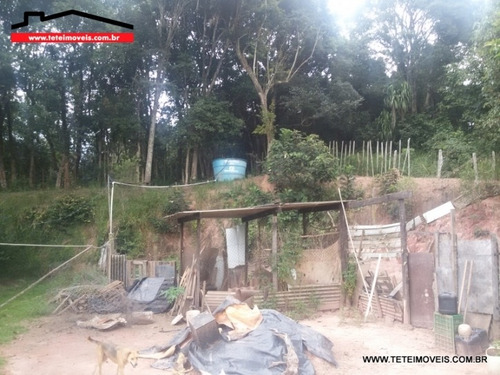 Imagem 12 de 12 de Chácara Em Pinhalzinho Com 7.800 M² De Terreno. - 37