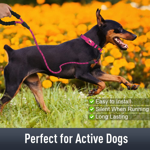Collar De Perro Erbine Airtag Para Perros Medianos Con Acaba