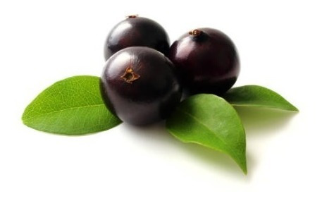200 Folhas Frescas Jabuticaba Sem Agrotoxicos
