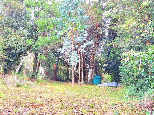 Vendemos En Valdivia 2,14 Hectareas En Altos De Punucapa