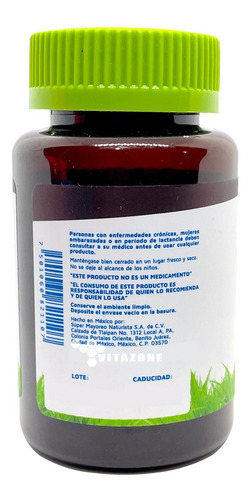 Imagen 4 de 4 de Ginkgo Biloba 90 Cápsulas Vidanat