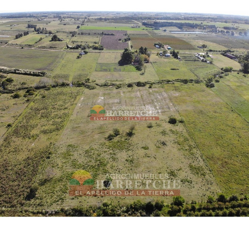 Imagen 10 de 30 de Chacra 5 Has En Venta, Casa 3 Dorm, Cno Gigante