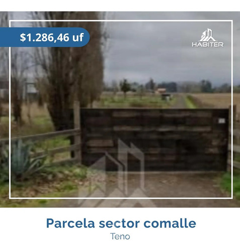 Parcela En Venta En Teno