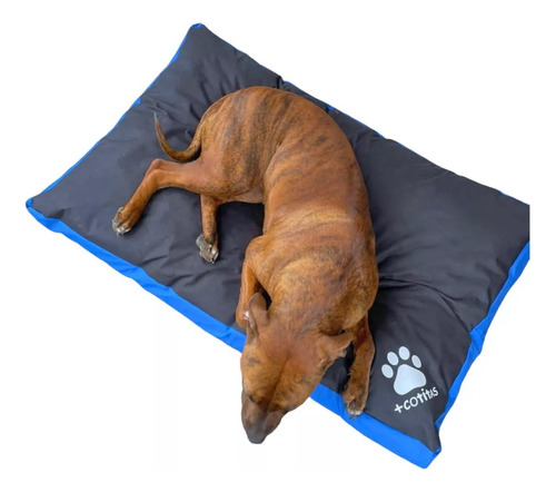 Colchon Cama 110x70 Perros Antidesgarro Premium Impermeable!