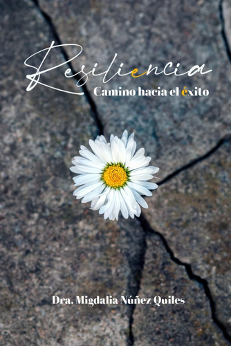 Libro: Resiliencia: Camino Hacia Éxito (spanish Edition)