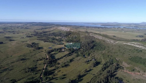 Imagen 25 de 28 de Venta Chacra 6 Hectáreas Punta Del Este