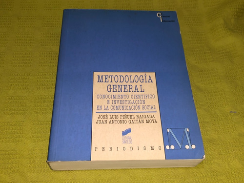 Metodología General - Piñuel Raigada Y Gaitán Moya- Sintesis