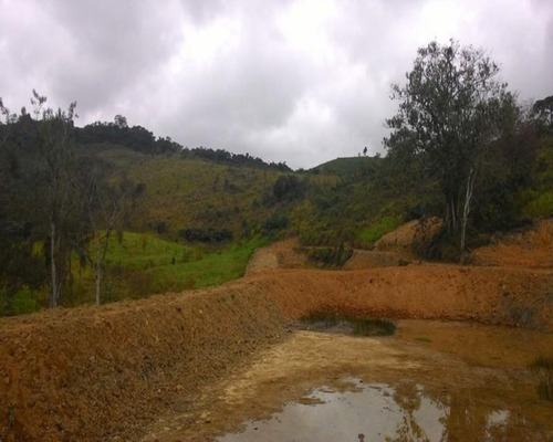 Imagem 28 de 30 de Fazenda - 0195 - 32820324