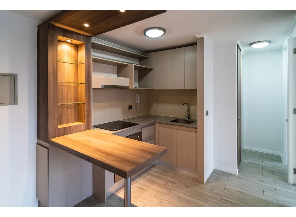 Imagen 2 de 22 de Arriendo Metro Parque O´higgins / San Ignacio / Av. Matta