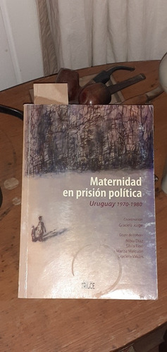 Maternidad En Cárceles Políticas Uruguayas 1970-1980