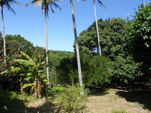Imagem 12 de 14 de Sítio / Chácara Para Venda Em Camaçari, Monte Gordo, 3 Dormitórios, 1 Banheiro, 10 Vagas - 193_1-1292160