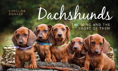 Libro Dachshunds : The Long And The Short Of Them - Carol...