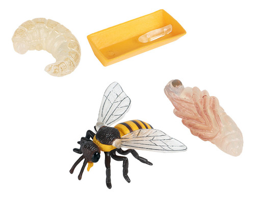 1 Conjunto/4 Unidades De Modelo De Ciclo De Simulação Bee Co