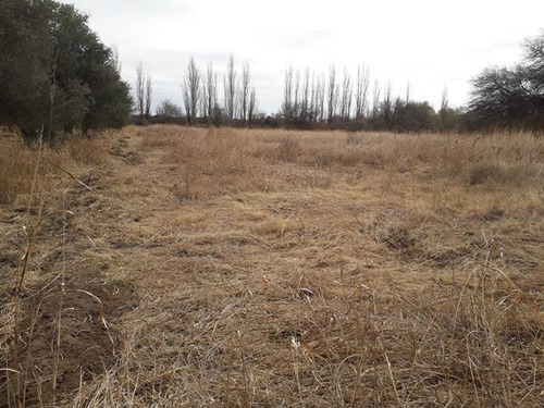 Imagen 6 de 16 de Campo En San Pedro Traslasierras. 4 Has Casa Y Galpon
