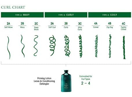 Oribe Priming Lotion Leave-in Conditioning Detangler 8,5 Fl