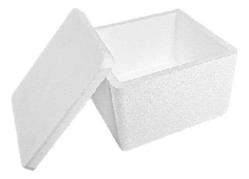 Caixa Caixinha De Isopor Termico Pequena 1kg C/3un