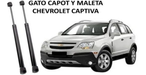 Gato Amortiguador Capot Chevrolet Captiva Sport 2007 A 2015