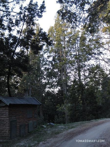 Imagen 2 de 8 de Terreno - Bariloche