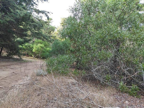 Imagen 2 de 6 de Dos Lotes De 1.350 M2 Totales, Venta Indval/block - Mar De Las Pampas | Cod.0688 |